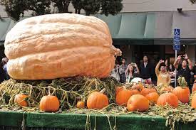 How To Grow A Record Setting Giant Pumpkin Pumpkin Giant Pumpkin Pumpkin Eater