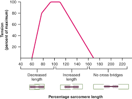 Solved How Is Treppe Different From Tetanus? O A. Treppe | Chegg.Com