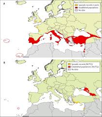 Facebook gives people the power to share and makes the. Dengue And Dengue Vectors In The Who European Region Past Present And Scenarios For The Future The Lancet Infectious Diseases