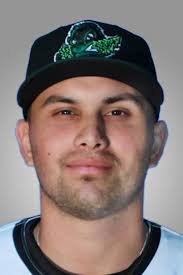 From Iowa to Tokyo, the Palm Springs area's 11 pro baseball players