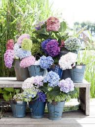 Originelle Outdoor Gestaltung Mit Der Hortensie Schoner Blumengarten Hortensien Garten Und Bluhende Pflanzen