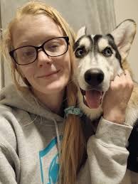 Corgis running from harnesses before walks