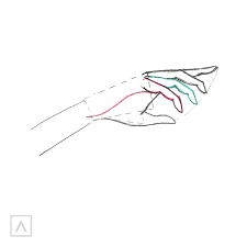 Have you ever wanted to learn how to paint but were too intimidated to get started? How To Draw A Hand Easy And Quick Arteza