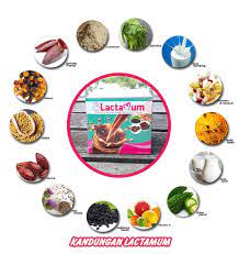 Laktasi makanan ibu makanan tambah susu badan mengepam susu susu badan susu ibu. Ini Cara Tambah Susu Badan Ibu Lactamum