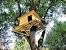 Cartoon Treehouse