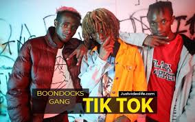 Boondocks Gang Tiktok Mp3 Download Boondocks African Music Mp3 Song Download
