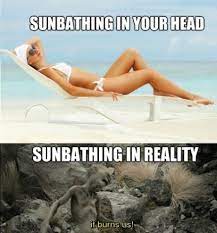 Funny sports memes & videos. Can We Just Skip Summer Funny Pictures Laugh Summer Memes