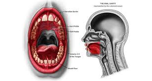 Having an ulcer on the roof of your mouth (also called your hard palate) is a sign of mouth cancer. Oral Cancer Surgeon Ahmedabad Gujarat India Anahat Oncology Head And Neck Cancer Surgeon Ahmedabad Gujarat India