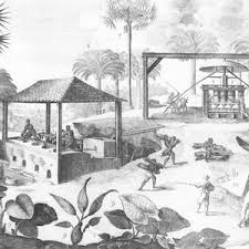 Source Collection Slavery And The Haitian Revolution World History Commons