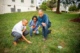 714 customer reviews for natran green pest control. Blades Of Green Vs Natural Green 2 Lawn Care Pest Control Options For Central Southern Md