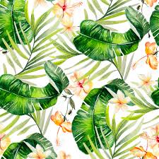 Floral jungle background flower decoration ornate decorative decor pattern ornament nature jungle floral free vector we have about (10,152 files) free vector in ai, eps, cdr, svg vector illustration. Beautiful Watercolor Seamless Tropical Jungle Floral Pattern Stock Photo Picture And Royalty Free Image Image 84914415