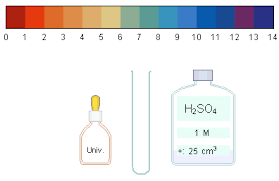 universal indicator activity