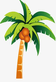 cartoon coconut trees png clipart architecture bar cartoon clipart cartoon clipart coconut free png download