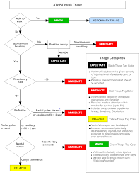 Emdocs Net Emergency Medicine Educationpem Playbook Mass