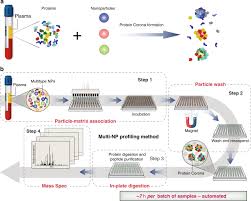 Bac is expressed as the weight of ethanol, in bac can be measured by breath, blood, or urine tests. Rapid Deep And Precise Profiling Of The Plasma Proteome With Multi Nanoparticle Protein Corona Nature Communications
