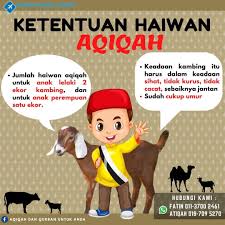 Secara tata bahasa atau etimologis. Berapa Bahagian Lembu Untuk Akikah Anak Lelaki