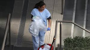 Investigates possible vaccine fraud (4:16 p.m. Covid 19 Updates Australia Cases Dive To New Low Nz Defers Lockdown Cgtn