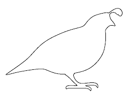 Birds That Start With The Letter Q Printable Quail Template Letter Q Crafts Wood Badge Bible Crafts