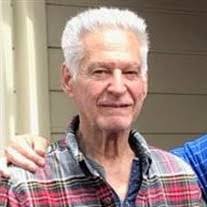 Virginia Kearney's Instagram, Twitter & Facebook