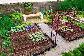 How to design a kitchen garden. Small Kitchen Garden Design Home Improvement Ideas