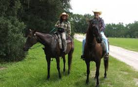 Cactus jack's trail rides's top competitors are horse world riding stables, red fox stables and true sky stables. Cactus Jack Trail Rides Howard Johnson Inn Ocala