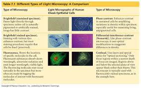 We did not find results for: Http Www Sc Chula Ac Th Courseware 2303101j Viii Cell Pdf