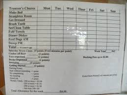 appropriate chore chart for a 10 year old boy is 5 dollars