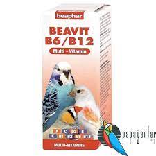 beapher multivitamin muhabbet kusu 2021 muhabbet kuslari kusu vitamin