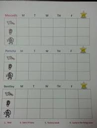 11 Best Reward Charts Images Charts For Kids Behaviour