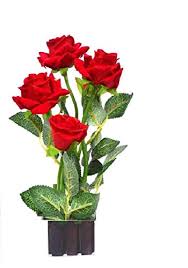 We did not find results for: Buy Sofix Artificial Rose Flower With Wood Pot Red Online At Low Prices In India Amazon In