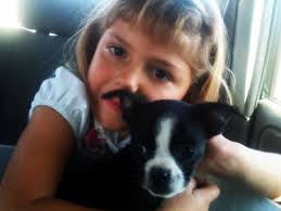 While my wife is gathering pictures for our sure-to-be-giant picture book,  I wanted to make a quick post in honor of My Daisy, who crossed the Rainbow  Bridge