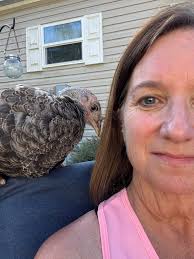 I have 2 Wheatens, 1 6yrs old, the other one is 5 yrs old. They are both  females. For the 2nd time, they got into a fight that left them both with