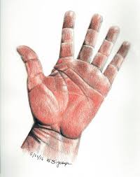 Weekly Mind Sketch Color Pencil Drawing Pencil Drawings Hand Drawing Reference