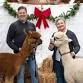 Holiday Photos with the Alpacas event image