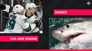 The official facebook page of the san jose sharks national hockey league. Shark Week 2019 Comparing The San Jose Sharks To Well Actual Sharks Sporting News
