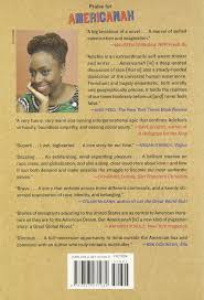 Mainly because i can get these books electronically from the library but, i'm glad. Americanah A Novel Ala Notable Books For Adults Amazon De Adichie Chimamanda Ngozi Fremdsprachige Bucher