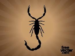 Scorpion Silhouette Free Vector In 2020 Silhouette Free Vector Free Free Vector Graphics