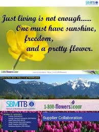 We did not find results for: Syndicate 5 Om 1 800 Flowers Floristry Supply Chain