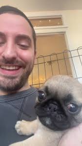 THEY 🚨 HAVE 🚨 ARRIVED 🚨