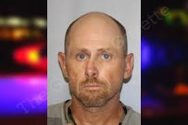 Ashley Wofford — Hall County Jail Bookings