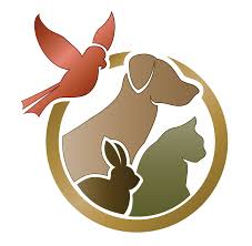 Pet care clinic is proud to serve the meridian id area for everything pet related. Paramount Animal Care