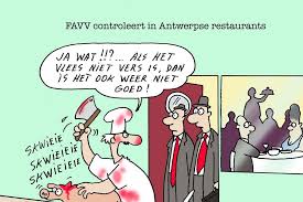 Wekenlang was de politie op zoek naar jürgen conings. Cartoon 2015 03 26t03 00 00z Gazet Van Antwerpen Mobile