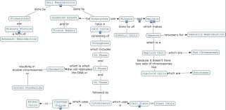 Check spelling or type a new query. Cell Reproduction