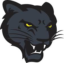 Panther Head Vector Art Illustration Mascot Design Panther Art Panther Logo