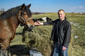 Kim jest nowy rolnik milioner i czy zrezygnuje z udziału?! Krzysztof Z Rolnik Szuka Zony 8 55 Lat Mazury