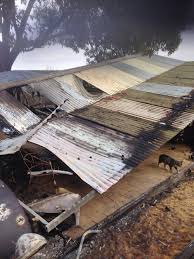 Fundraiser by Mandi J Nelson : Rising from the ashes