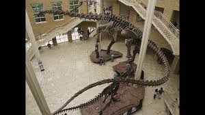 Biggest Dinosaur To Ever Walk The Earth Science 4 5 At Up To 35 Metres Long Argentinosaurus Was A Colo Atlanta Travel Romantic Dates Jurassic Park World