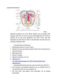 Scopri ricette, idee per la casa, consigli di stile e altre idee da provare. Anatomi Fisiologi Sistem Urinaria Ppt