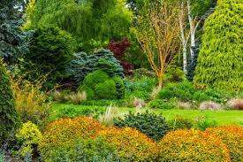 Whilst the dell garden is a mecca for hardy herbaceous perennial plant enthusiasts, foggy foggy bottom garden was created by the son of world famous plant enthusiast alan bloom. Bressingham Steam And Gardens Photos Norfolk Travel Guide