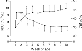 Changes Of The Erythrocyte Phenotype And Blood Biochemistry